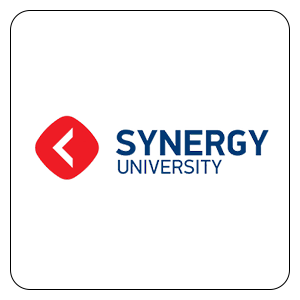 synergy university